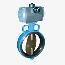 Pneumatic Rotary Operated Butterfly Valve With CF8 Disc

