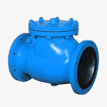 Check Valves